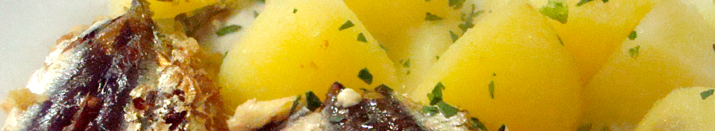 gastro